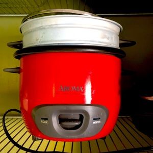 Rice cooker with steamer
